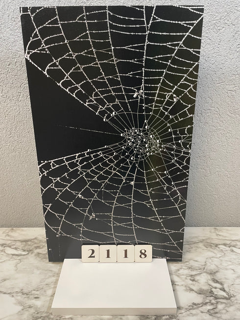 2118 - Spider Web Black