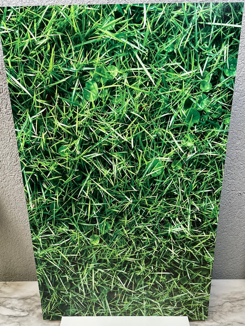 2069 - Greenery