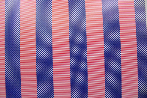 6010 - Micro Red, White and Blue 1” Blocks