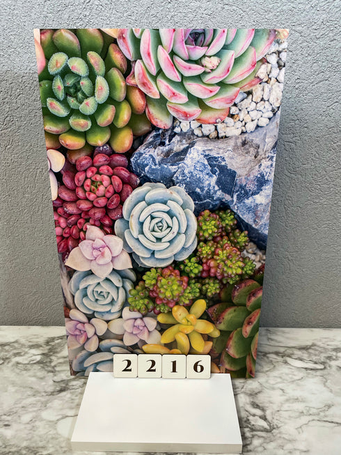 2216 - Succulent Background