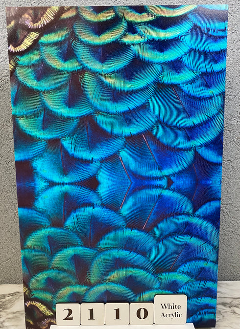 2110 - Peacock Feathers