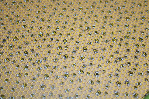 0530 - Micro Bees on Honeycomb Hive